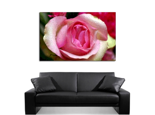 rose3sofa+jpg